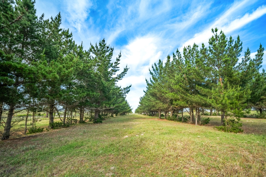 4 Bedroom Property for Sale in Paarl Rural Western Cape